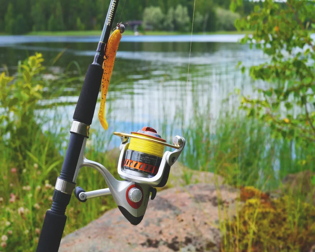 BEST FISHING TIPS- IMAGE 1