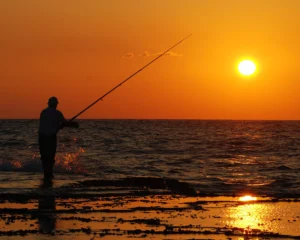 Read more about the article Bank Fishing- Known as Shore Fishing