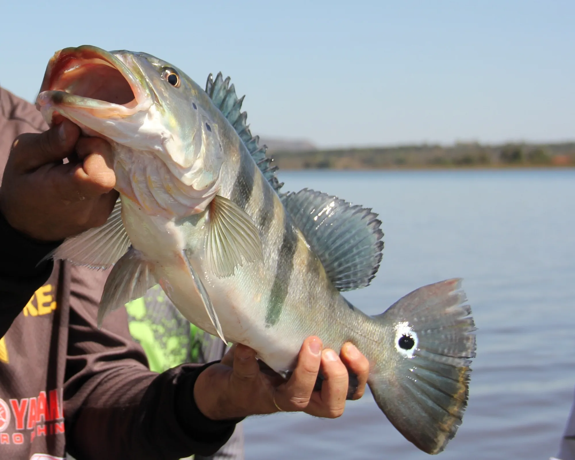 You are currently viewing Best Fishing Tips for Anglers