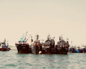 Read more about the article Bottom Trawling- Commercial Fishing