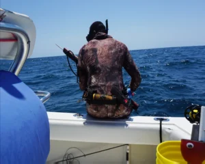 Read more about the article Spear Fishing: Under Water Technique