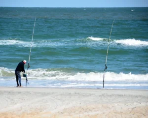 Read more about the article Surf Fishing- A Popular Method of Fishing