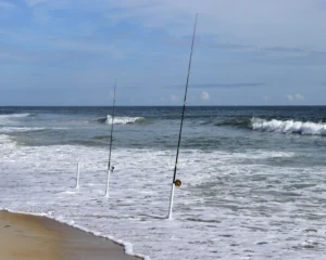 Read more about the article Surf Fishing- A Popular Fishing-Urdu